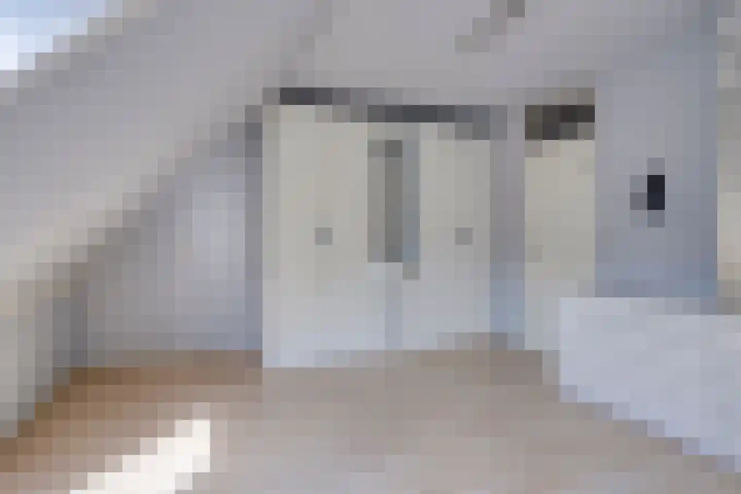 Tinnengieterhof 12 Schiedam thumbnail 12
