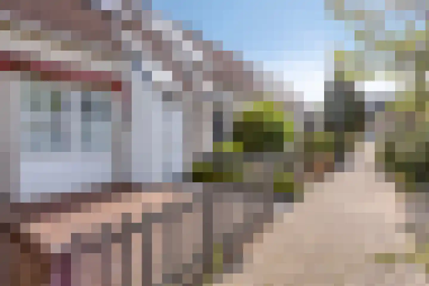 Tinnengieterhof 12 Schiedam thumbnail 20