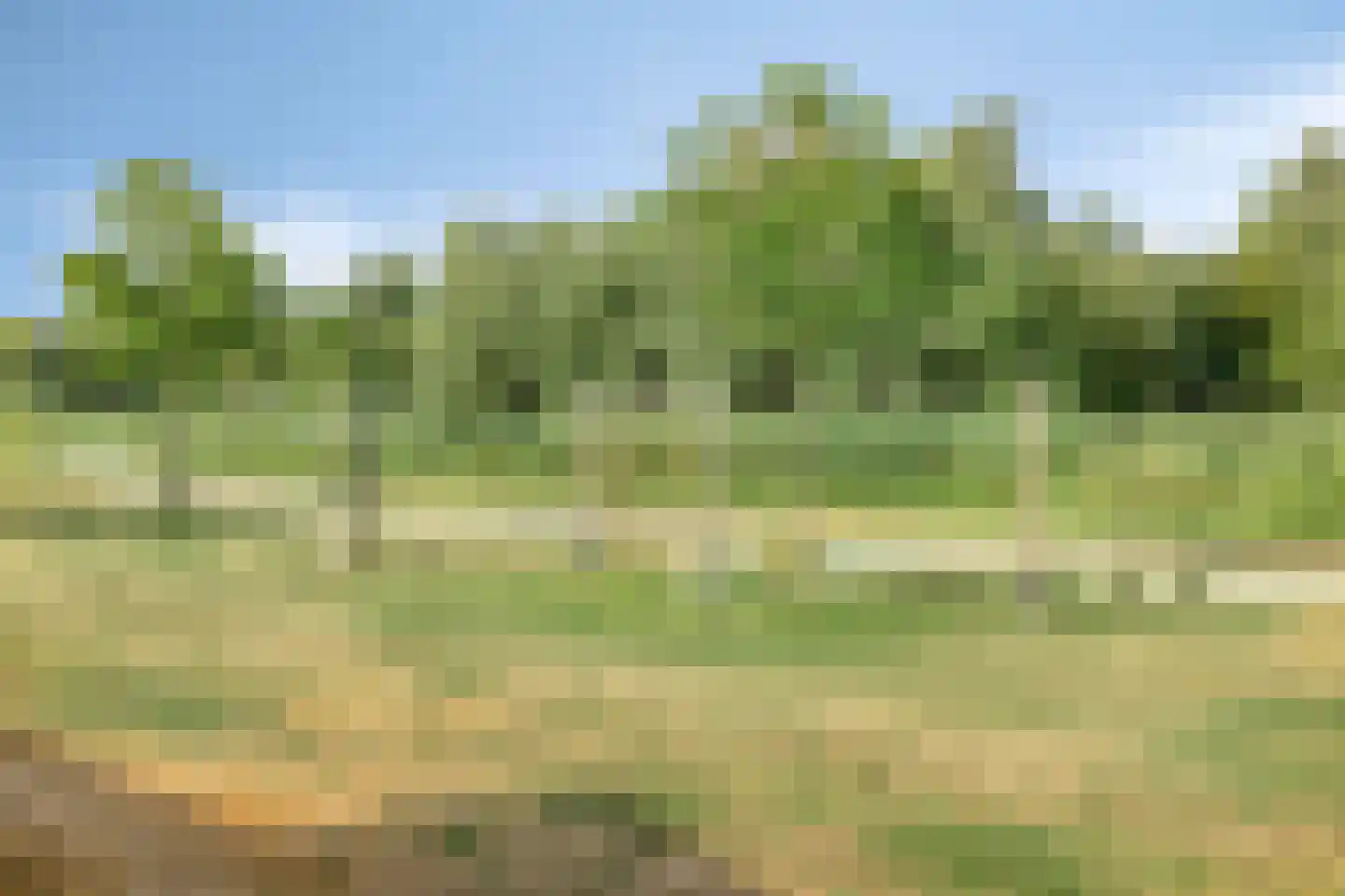 Tinnengieterhof 12 Schiedam thumbnail 21