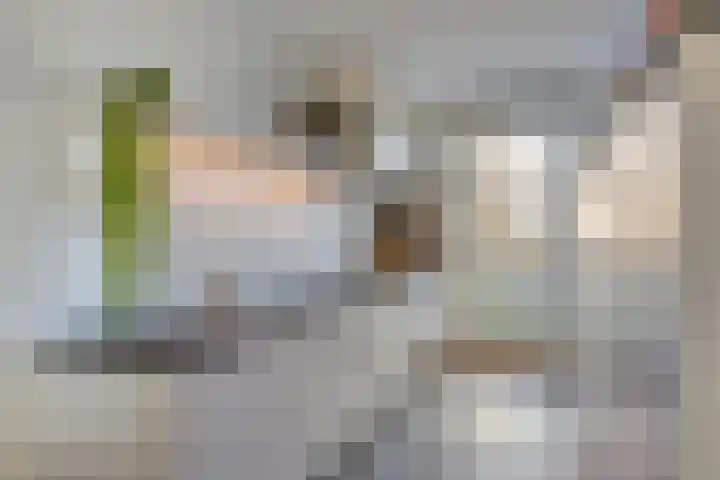 Tintel 7 Beuningen Gld thumbnail 13