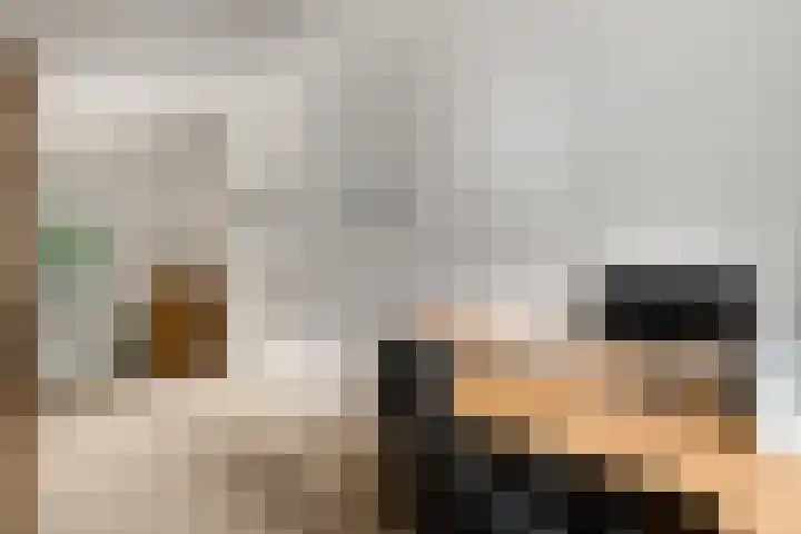 Tintel 7 Beuningen Gld thumbnail 14