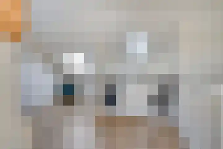 Tintel 7 Beuningen Gld thumbnail 24