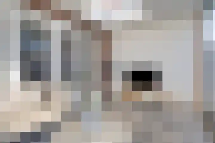 Tintel 7 Beuningen Gld thumbnail 31