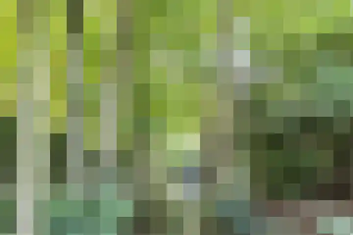 Tintel 7 Beuningen Gld thumbnail 42