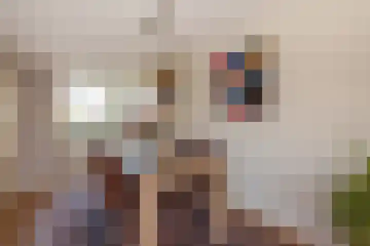 Tintlaan 113 Zoetermeer thumbnail 10