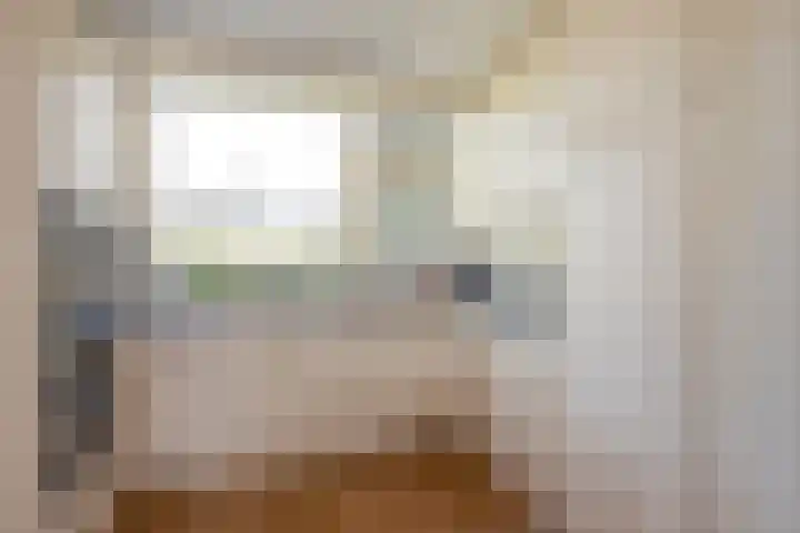 Tintlaan 113 Zoetermeer thumbnail 11