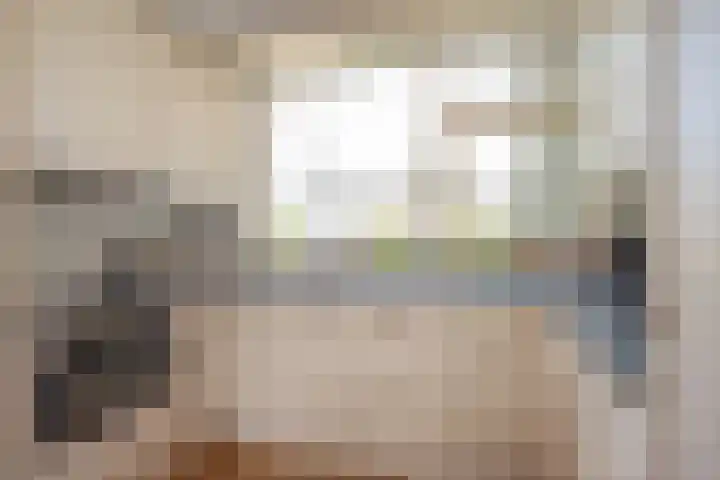 Tintlaan 113 Zoetermeer thumbnail 12