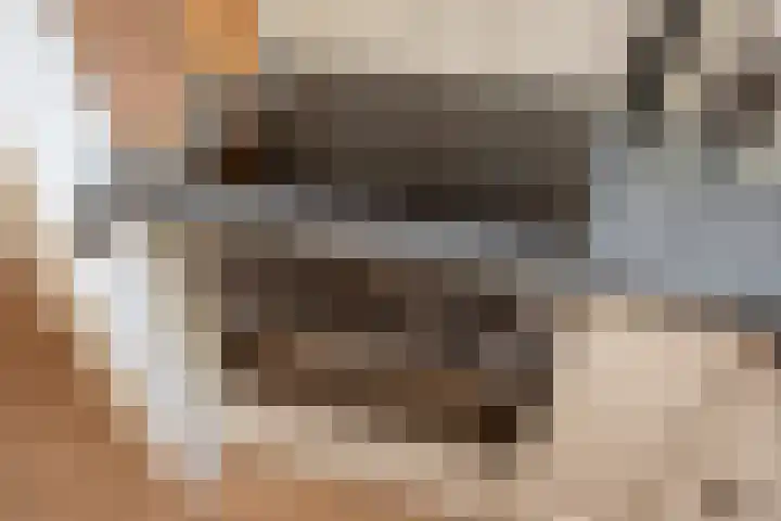 Tintlaan 113 Zoetermeer thumbnail 13