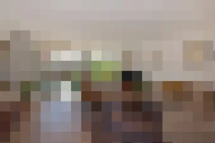 Tintlaan 113 Zoetermeer thumbnail 16