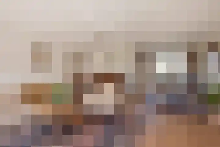 Tintlaan 113 Zoetermeer thumbnail 20