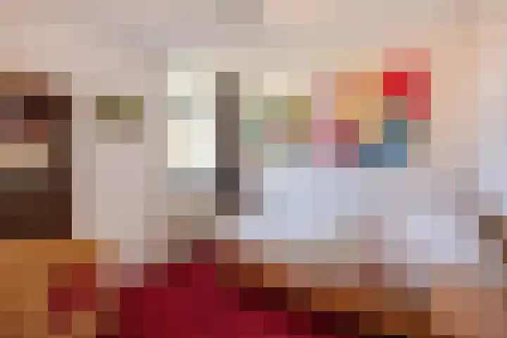 Tintlaan 113 Zoetermeer thumbnail 24