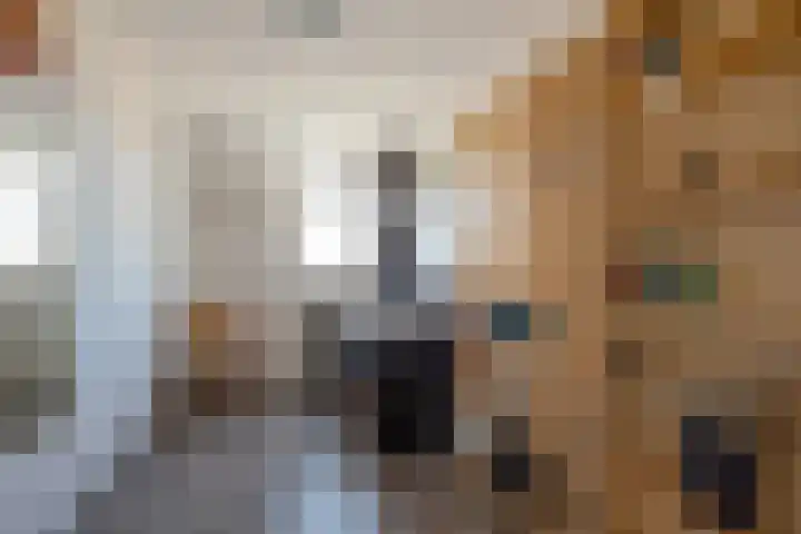Tintlaan 113 Zoetermeer thumbnail 28