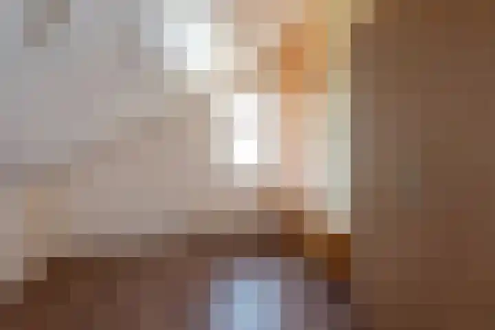 Tintlaan 113 Zoetermeer thumbnail 30