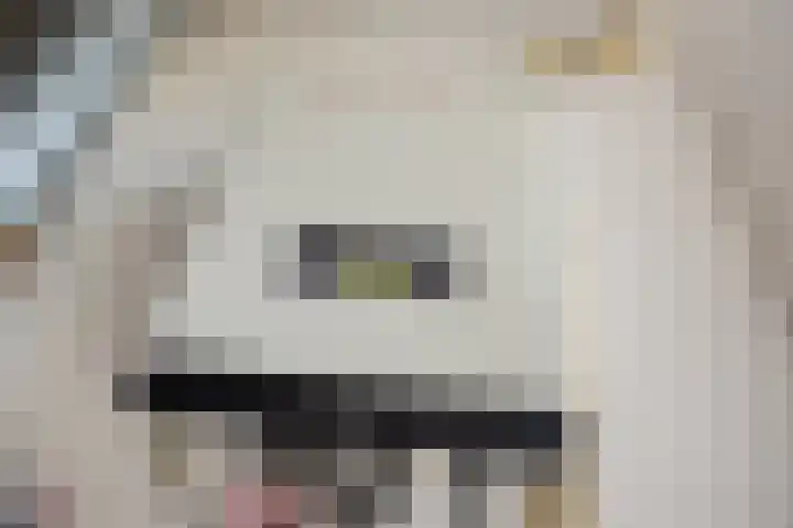 Tintlaan 113 Zoetermeer thumbnail 34