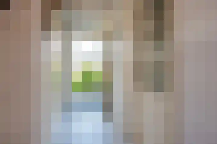 Tintlaan 113 Zoetermeer thumbnail 8