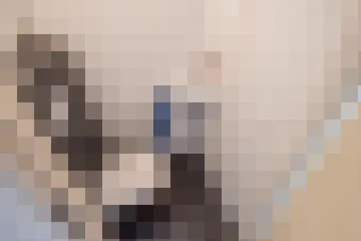 Tintlaan 113 Zoetermeer thumbnail 9