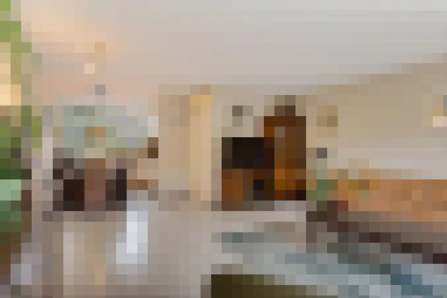 Tintlaan 131 Zoetermeer thumbnail 13