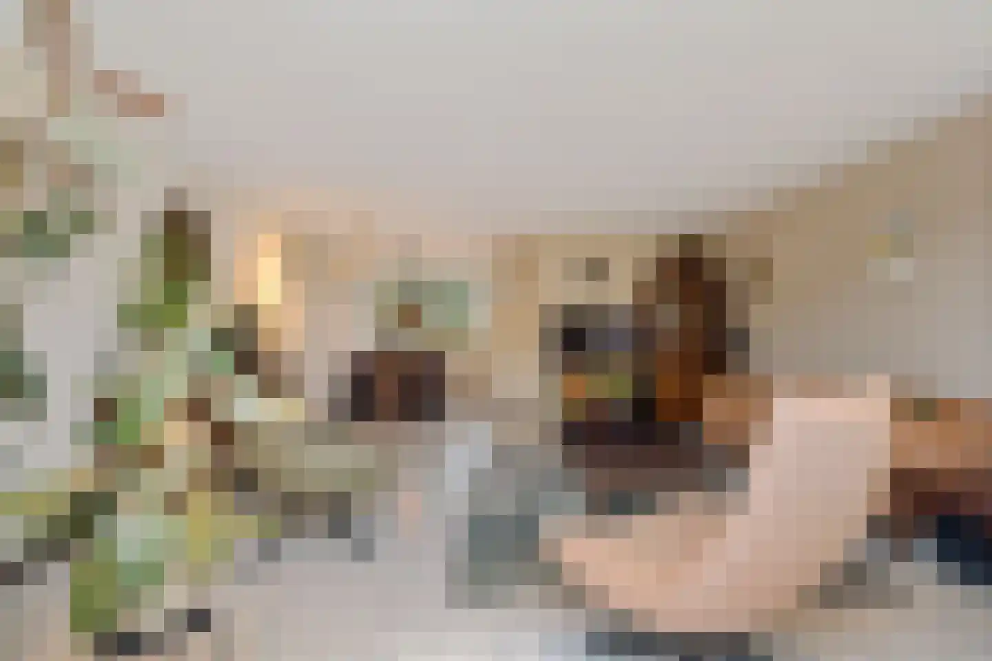 Tintlaan 131 Zoetermeer thumbnail 15