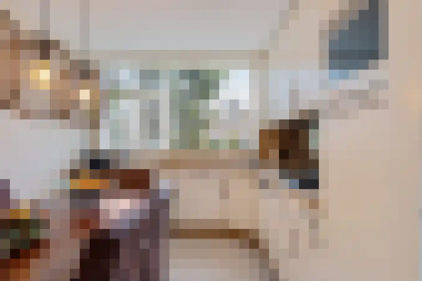 Tintlaan 131 Zoetermeer thumbnail 17