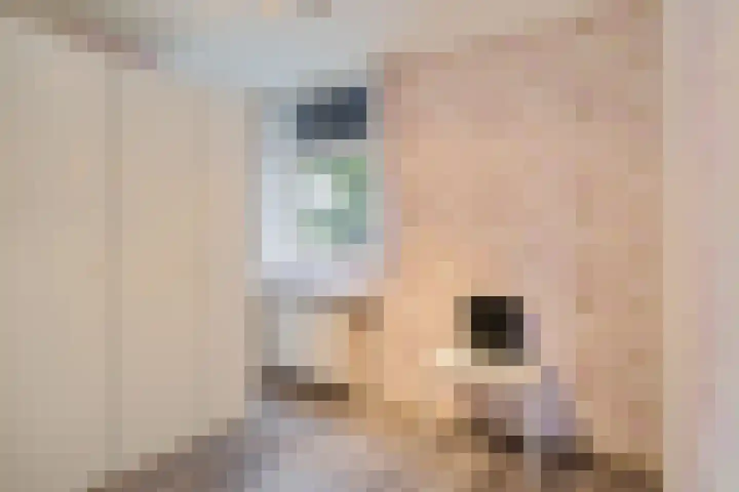 Tintlaan 131 Zoetermeer thumbnail 27