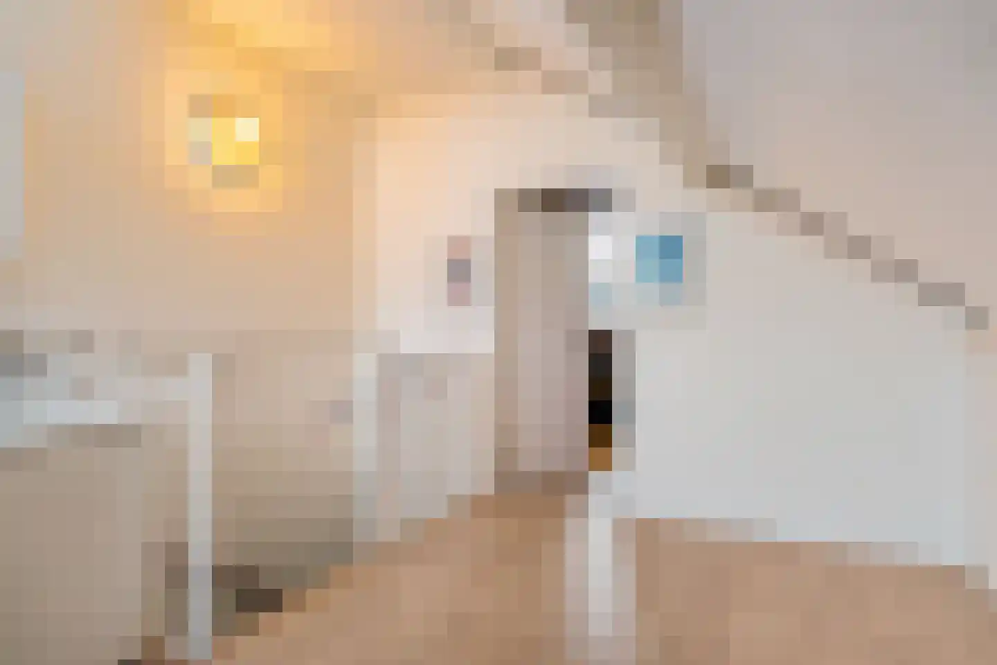 Tintlaan 131 Zoetermeer thumbnail 32