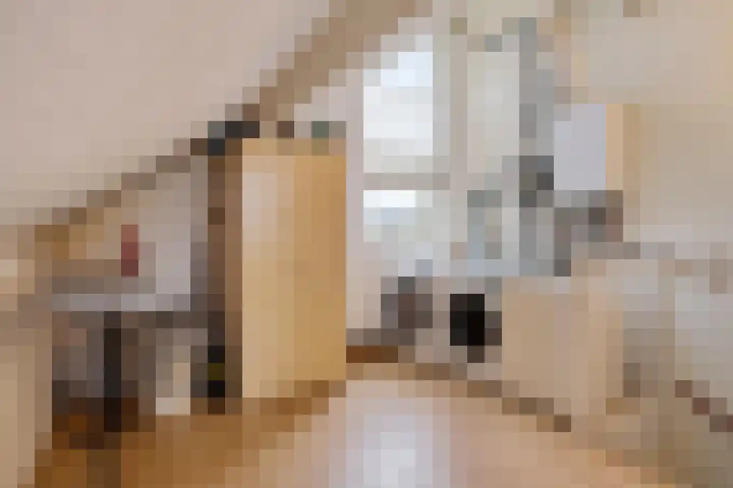 Tintlaan 131 Zoetermeer thumbnail 33