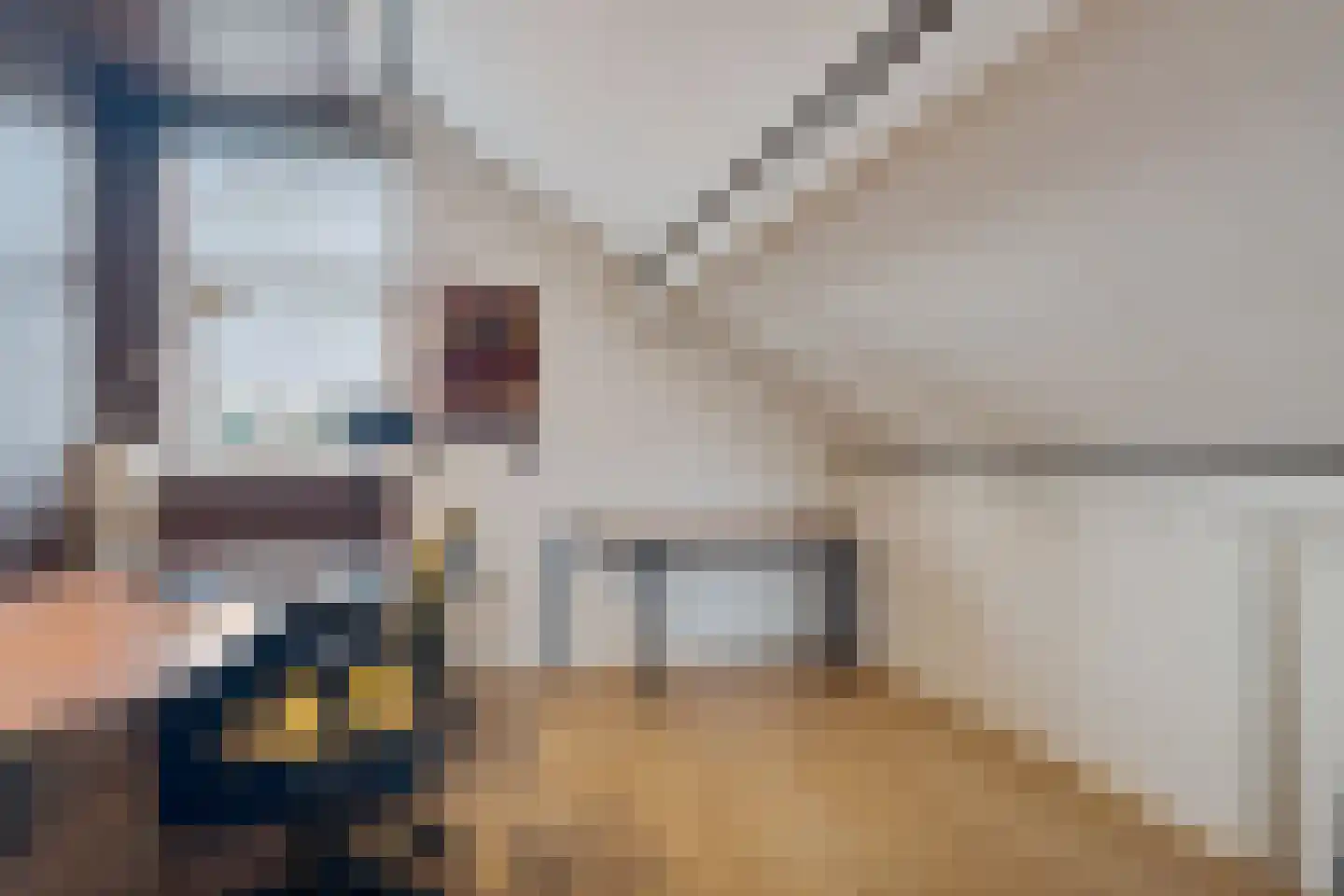 Tintlaan 131 Zoetermeer thumbnail 35