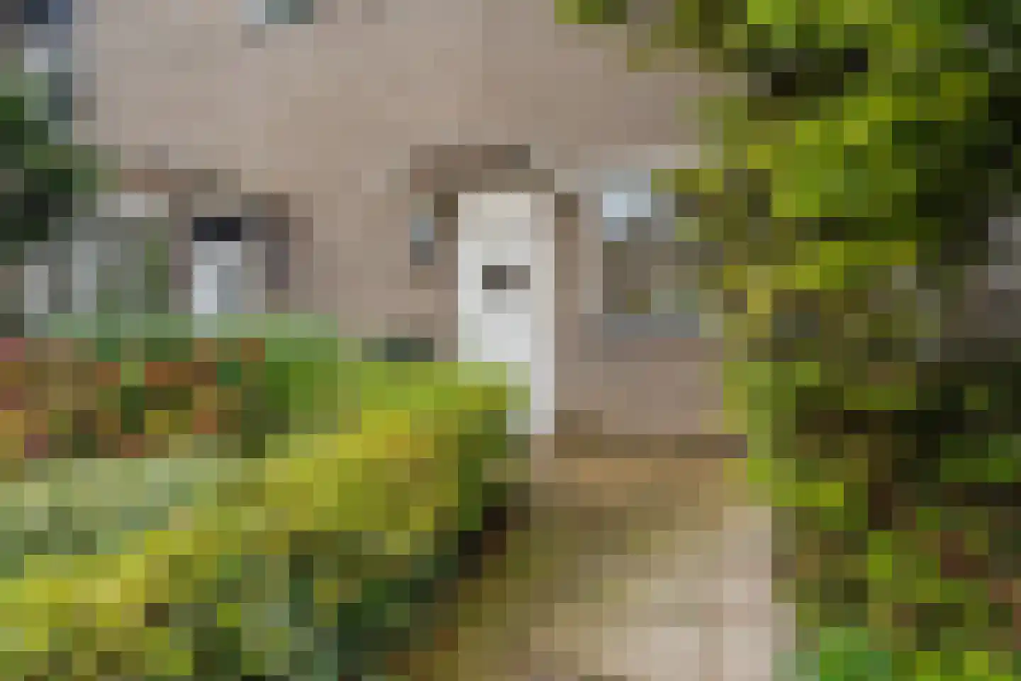 Tintlaan 131 Zoetermeer thumbnail 7