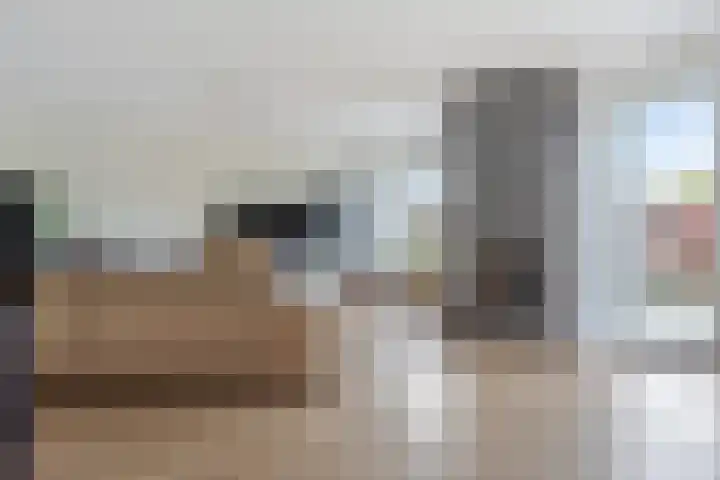 Tintlaan 98 Zoetermeer thumbnail 11