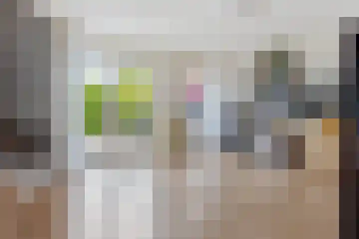 Tintlaan 98 Zoetermeer thumbnail 13