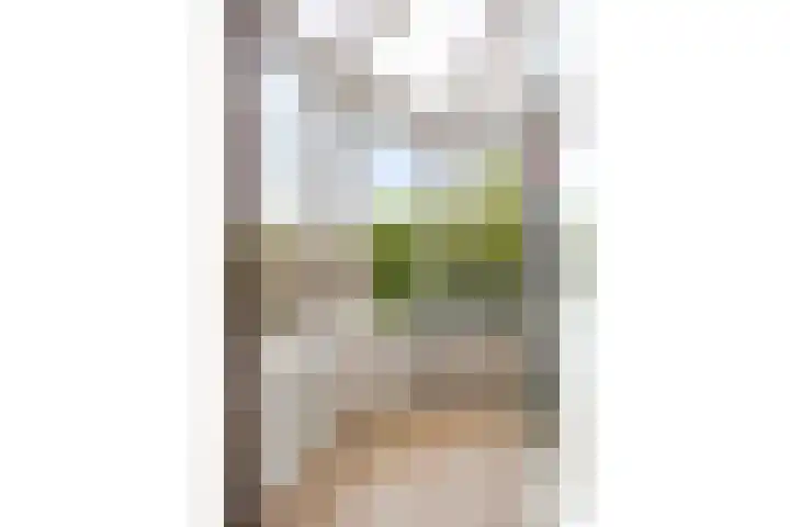 Tintlaan 98 Zoetermeer thumbnail 14