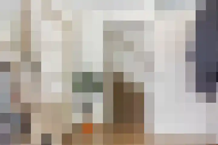 Tintlaan 98 Zoetermeer thumbnail 16