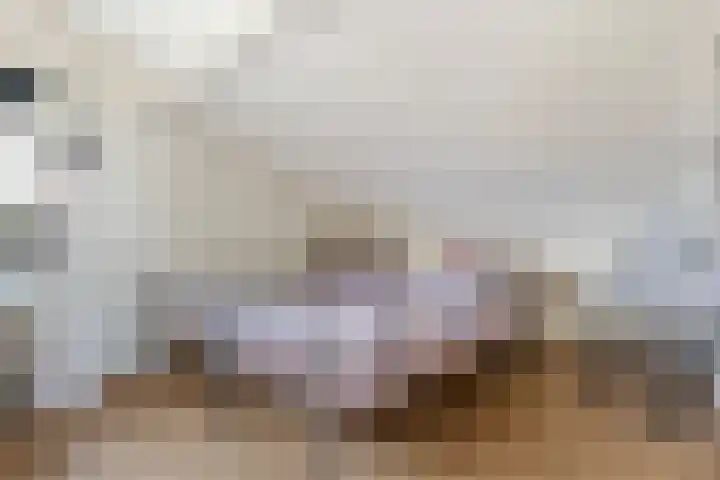 Tintlaan 98 Zoetermeer thumbnail 27