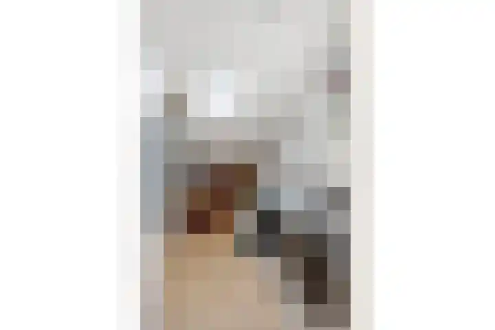 Tintlaan 98 Zoetermeer thumbnail 33