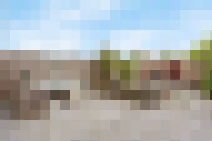 Tintlaan 98 Zoetermeer thumbnail 35
