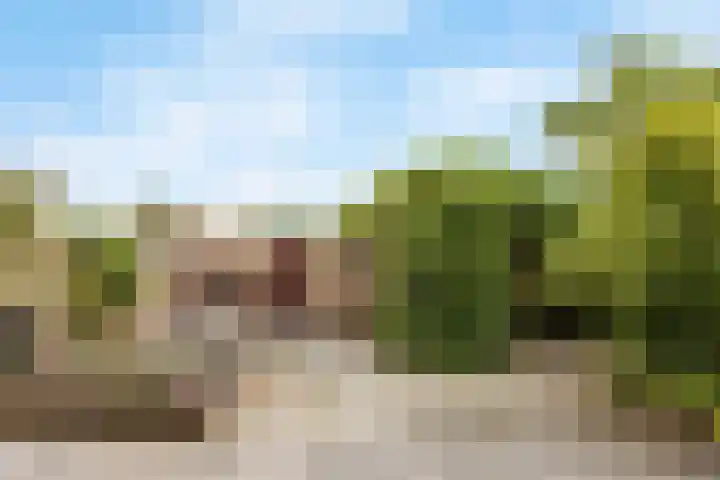 Tintlaan 98 Zoetermeer thumbnail 37