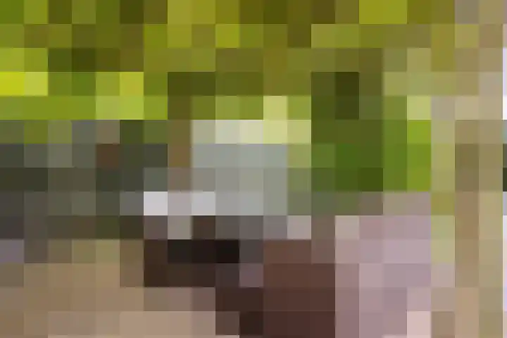 Tintlaan 98 Zoetermeer thumbnail 38