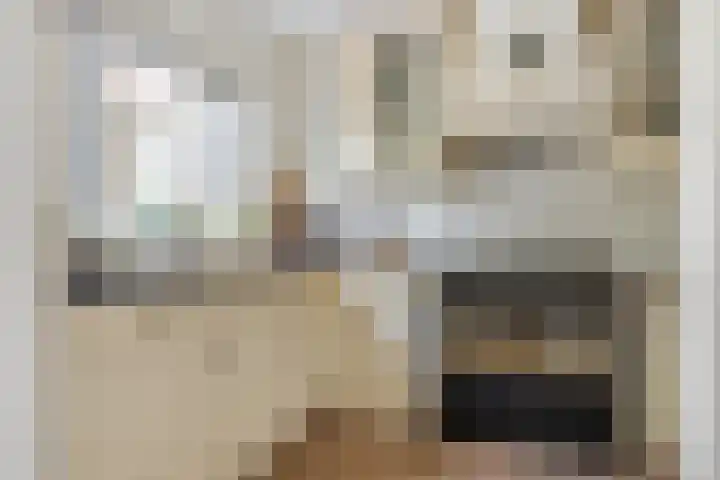 Tintlaan 98 Zoetermeer thumbnail 4