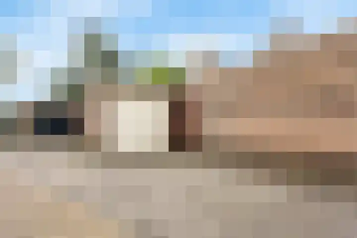 Tintlaan 98 Zoetermeer thumbnail 40