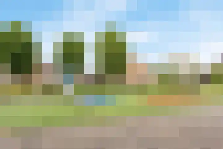 Tintlaan 98 Zoetermeer thumbnail 45