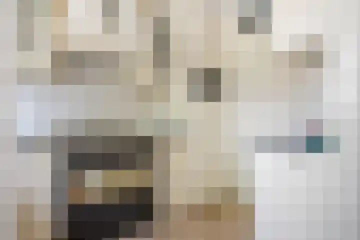 Tintlaan 98 Zoetermeer thumbnail 5