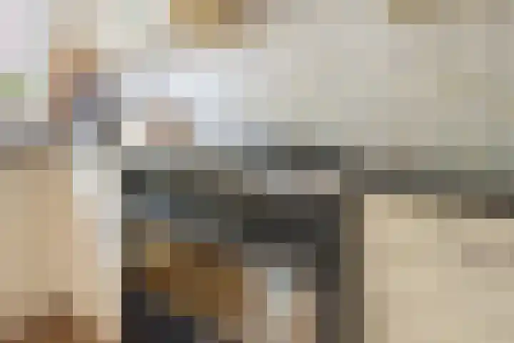 Tintlaan 98 Zoetermeer thumbnail 6