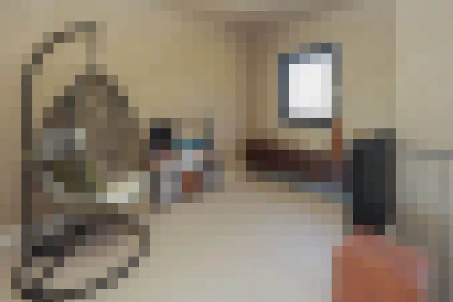 Tintorettohof 33 Lent thumbnail 13