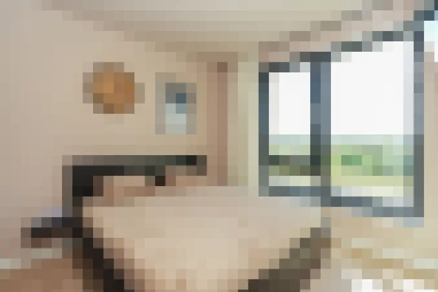 Tintorettohof 33 Lent thumbnail 23