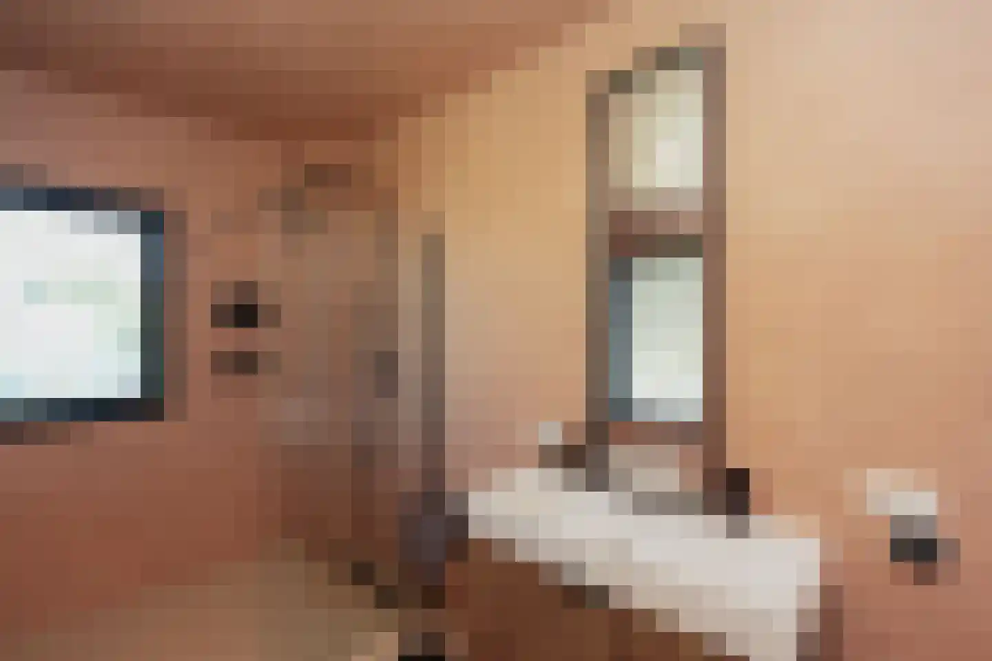 Tintorettohof 33 Lent thumbnail 32