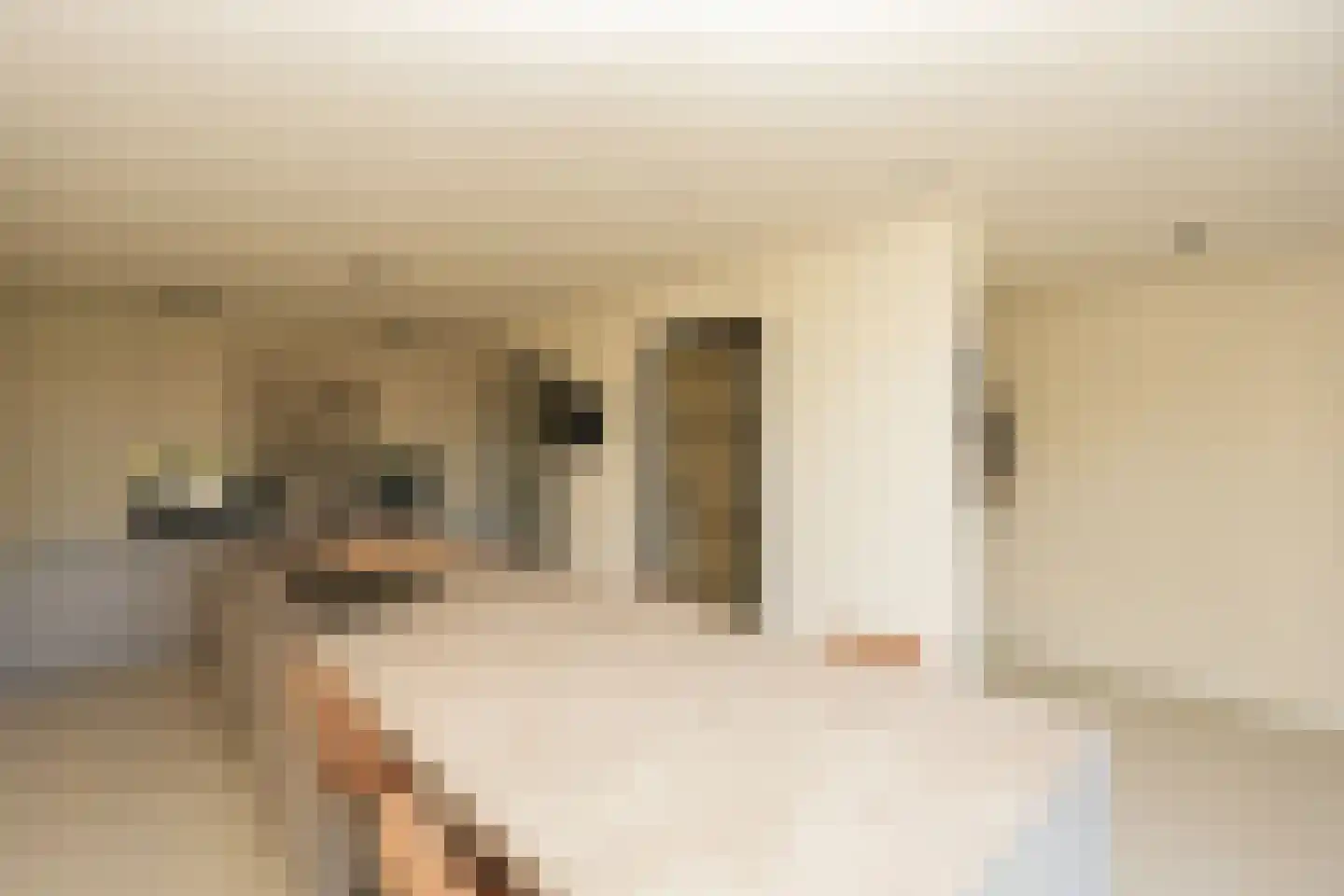 Tintorettohof 33 Lent thumbnail 5