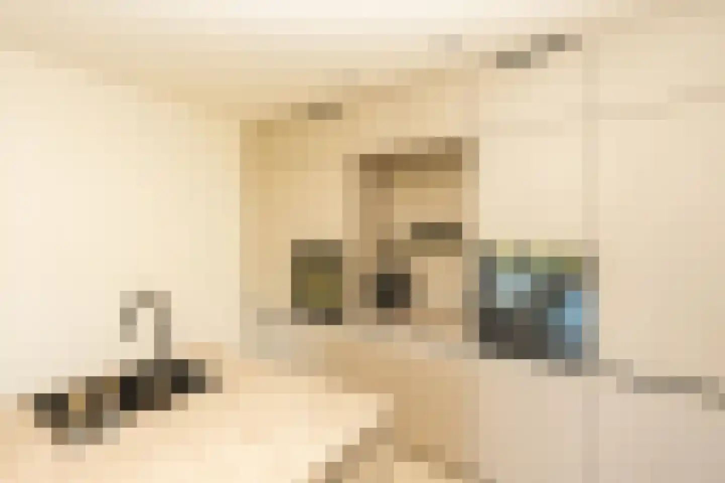 Tintorettohof 33 Lent thumbnail 6