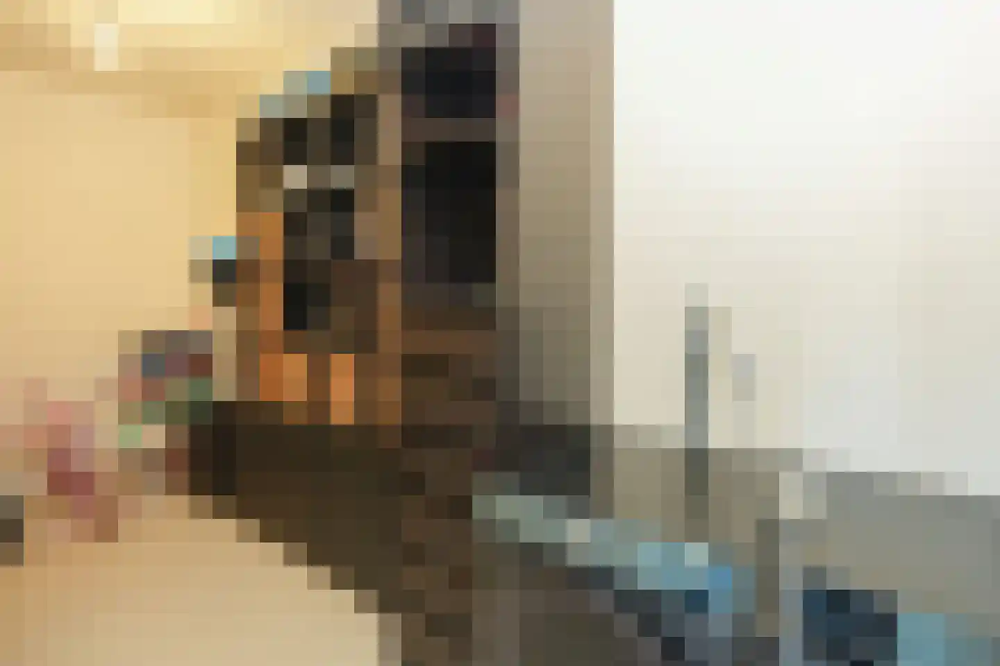 Tintorettohof 33 Lent thumbnail 7