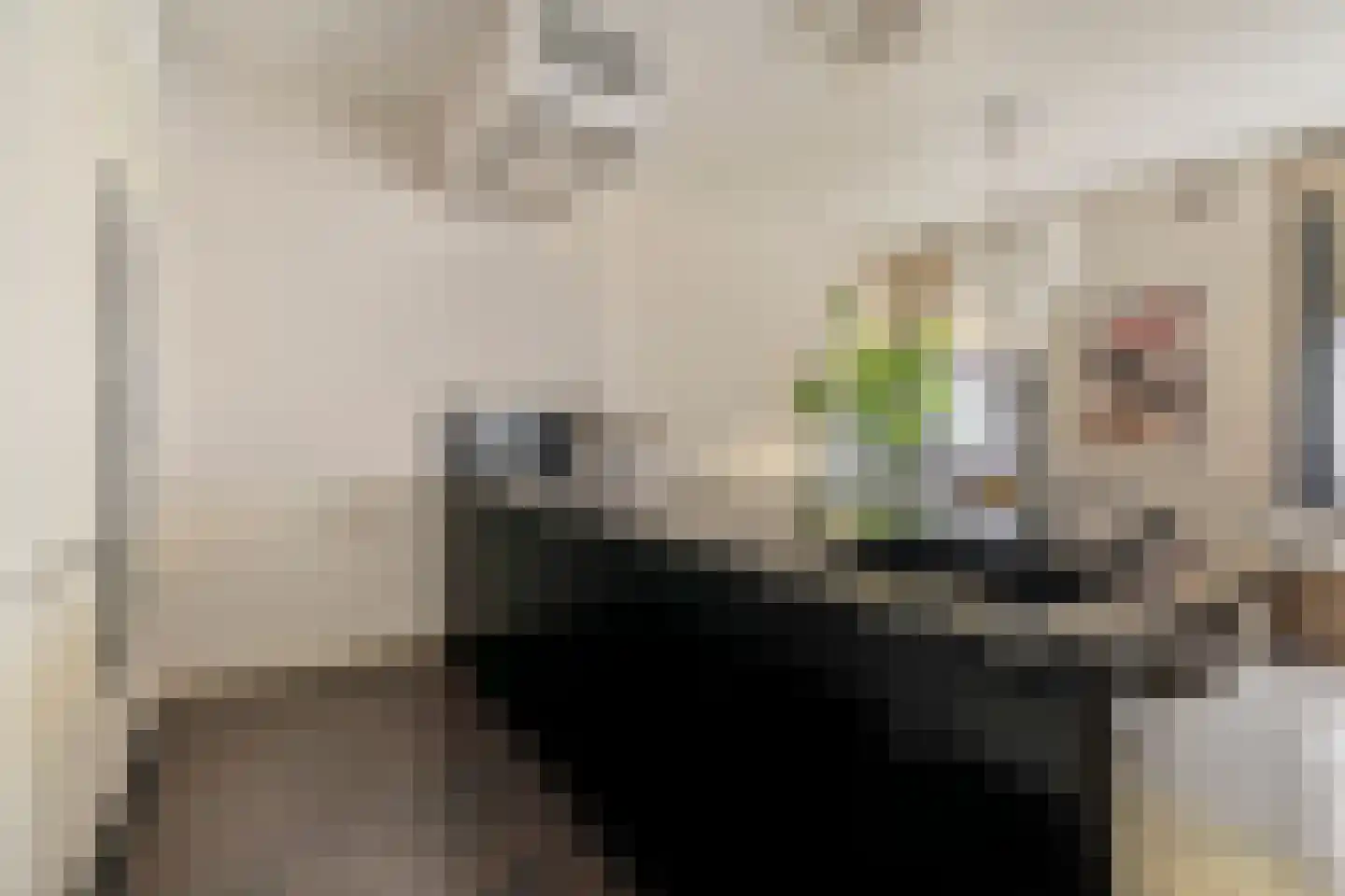 Tintorettostraat 10 H Amsterdam thumbnail 12