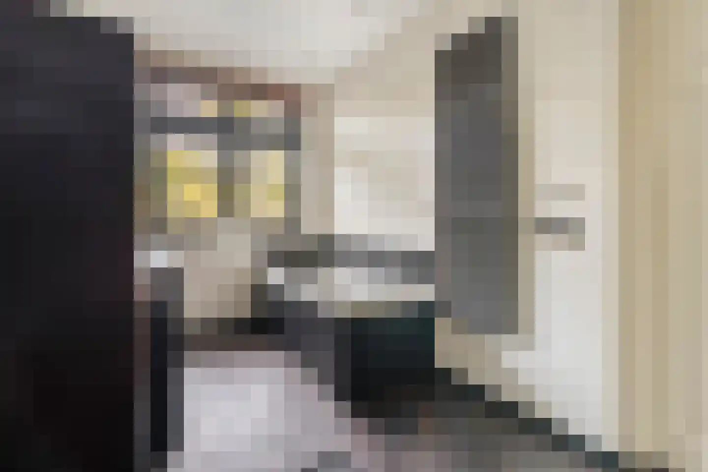 Tintorettostraat 10 H Amsterdam thumbnail 23
